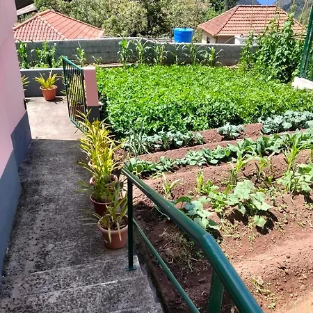 Casa Rosa *